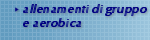 Sportsman Club: allenamenti di gruppo e aerobica